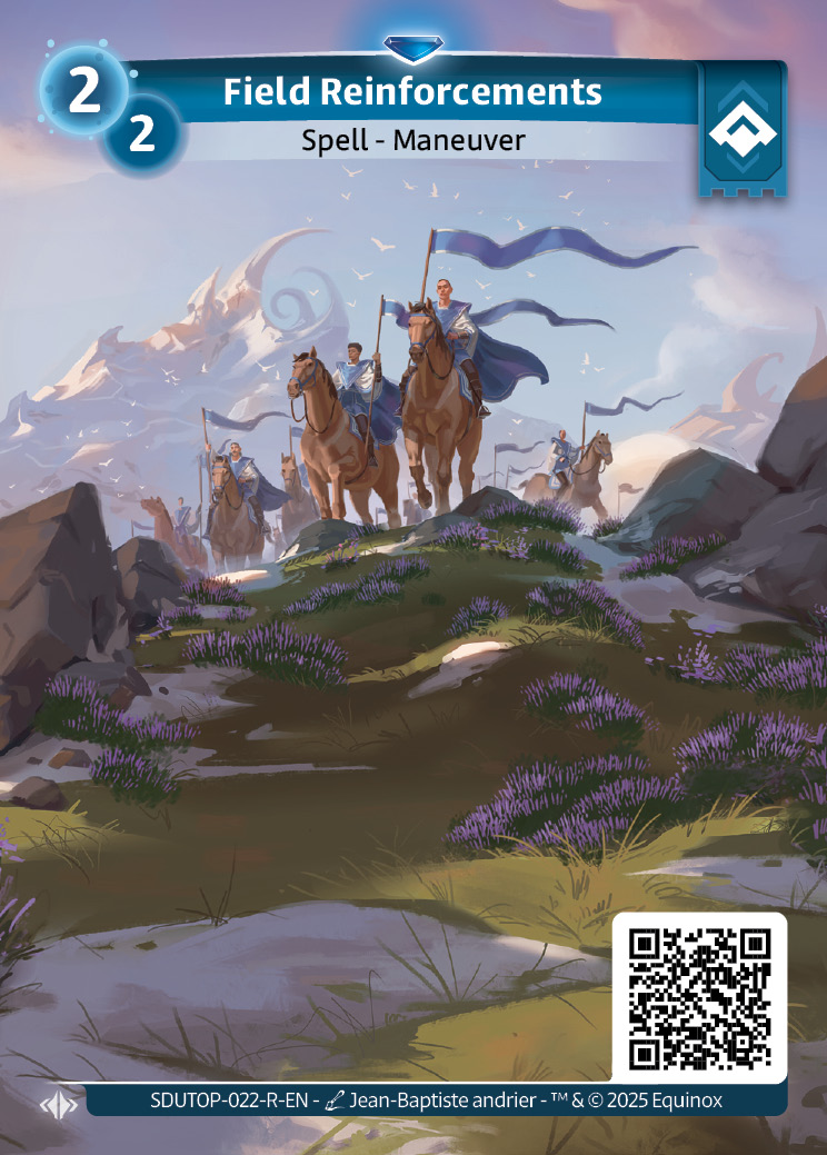 Field Reinforcements